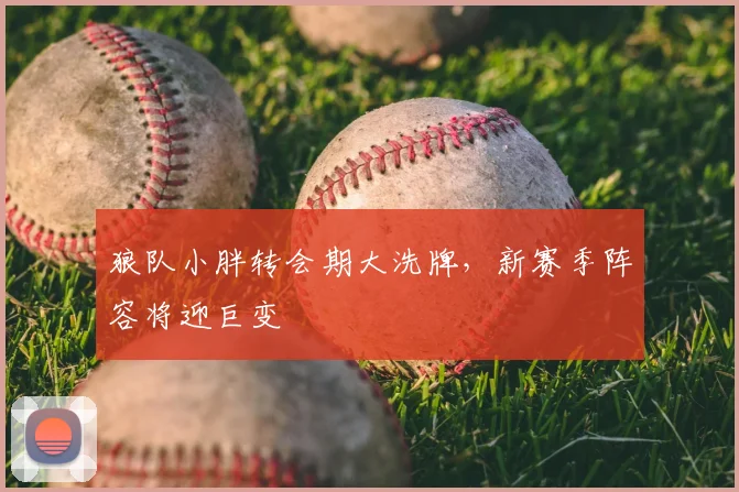 狼队小胖转会期大洗牌，新赛季阵容将迎巨变