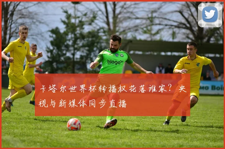 卡塔尔世界杯转播权花落谁家?央视与新媒体同步直播