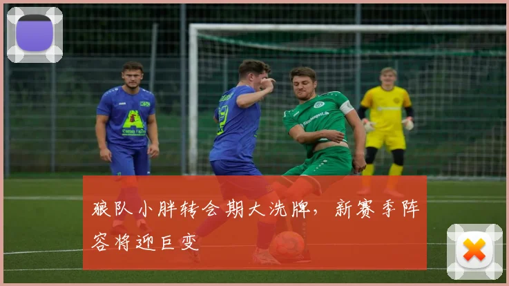 狼队小胖转会期大洗牌，新赛季阵容将迎巨变